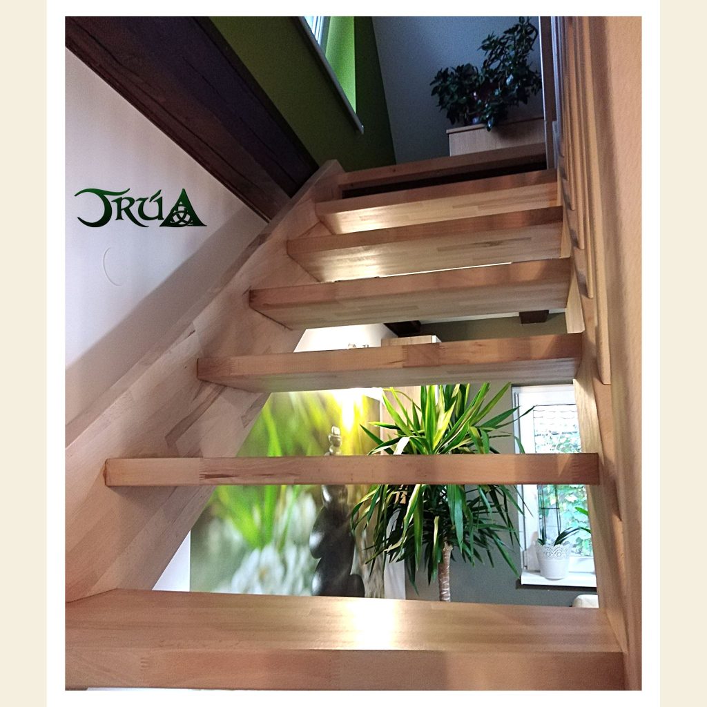 scara pe structura lemn fag (15)