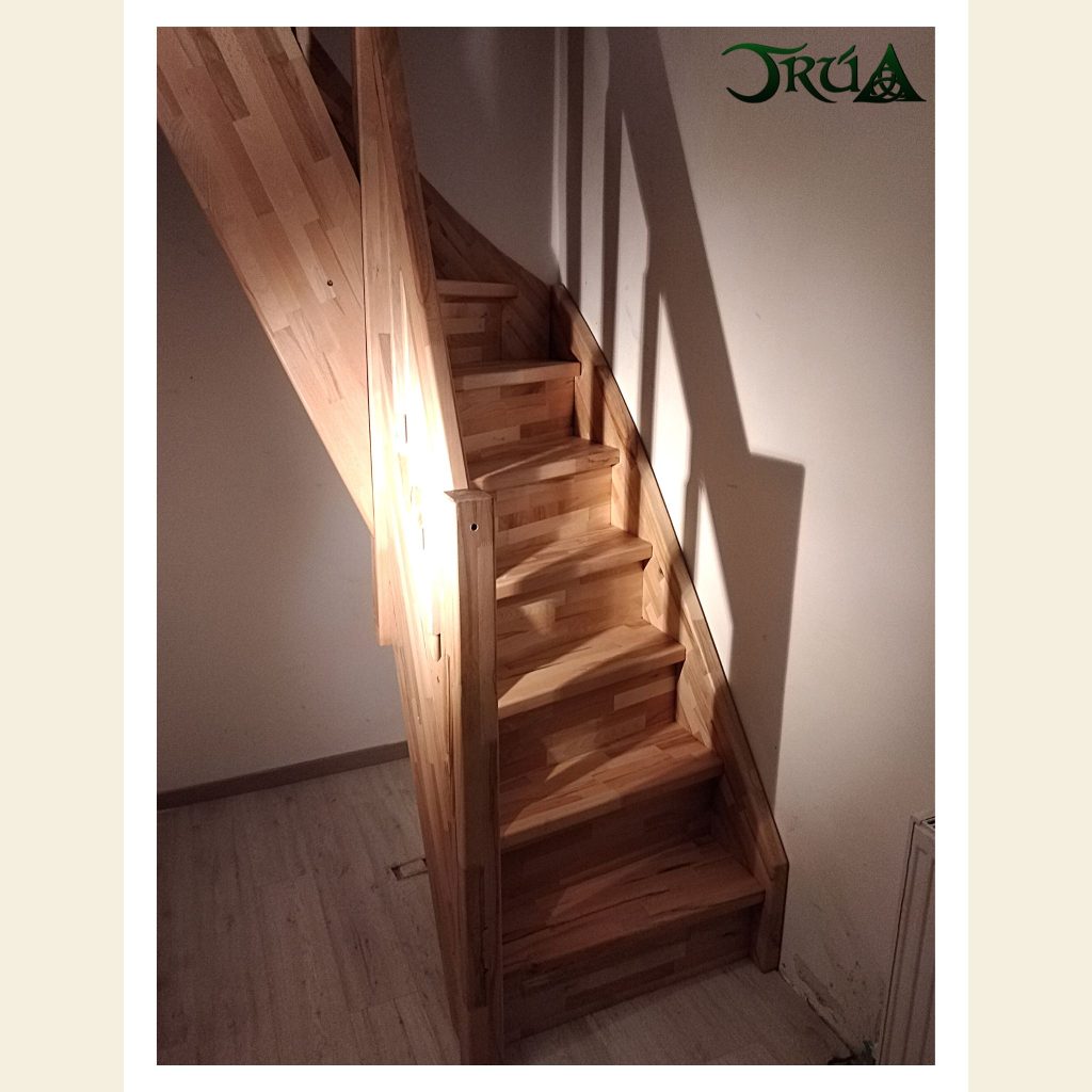 scara pe structura lemn fag (2)