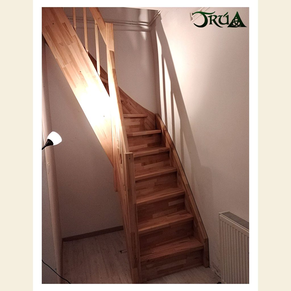scara pe structura lemn fag (3)