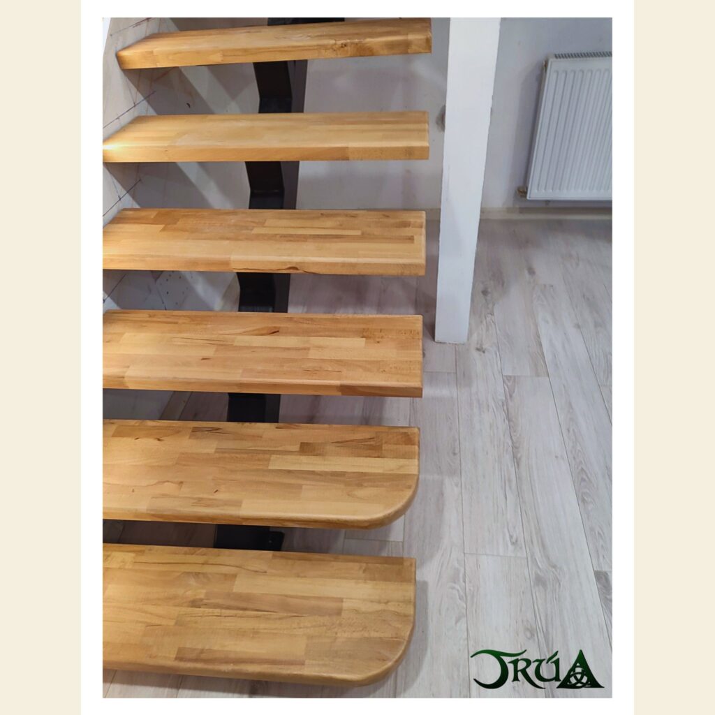 19 Trepte lemn scara metalica