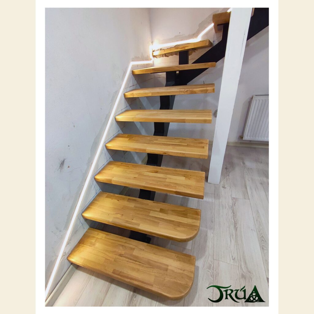 20 Trepte lemn scara metalica
