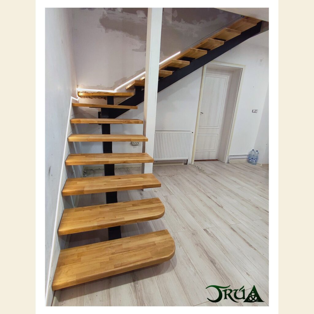 5 Trepte lemn scara metalica